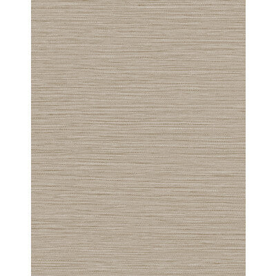 WTN1096.WT.0 by Winfield Thybony Wallcovering Winfield Thybony Wallcovering WTN1096.WT.0Wallcovering WINFIELD THYBONY TANIYA NAYAK VINYL ON OSNABURG - 100% United States </p><p>Repeat: H: , V: 54 - Fabric Carolina -