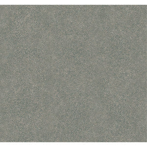 Ray Dusk by Winfield Thybony Wallcovering