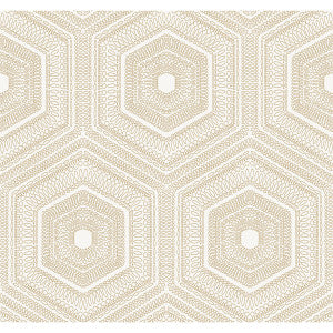 Concentric Groove Champagne by Winfield Thybony Wallcovering