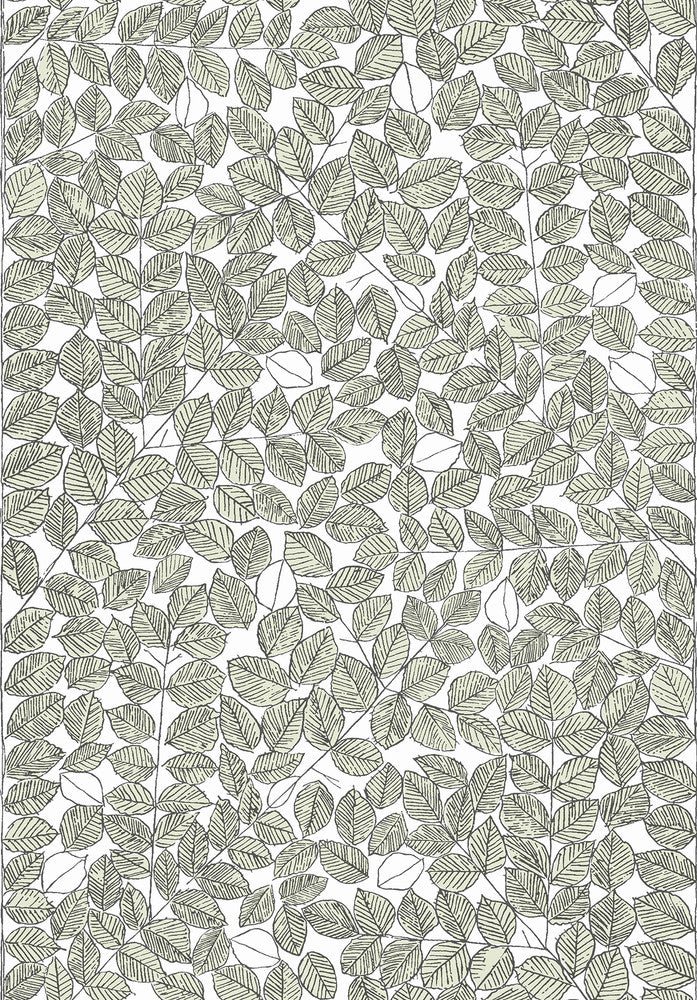 Romans Light Green Green Leaf Wallpaper by Wall Vision Scandinavian Designers II Covers about 57.8 square feet 21-in by 33-ft long roll Unpasted 30 - Fabric Carolina -