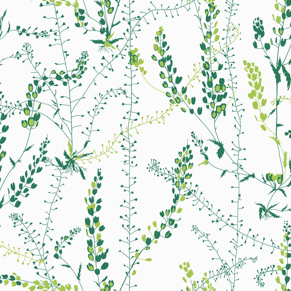 Bladranker Green Green Botanical Wallpaper by Wall Vision Scandinavian Designers II Covers about 57.8 square feet 21-in by 33-ft long roll Unpasted 20.9 - Fabric Carolina -