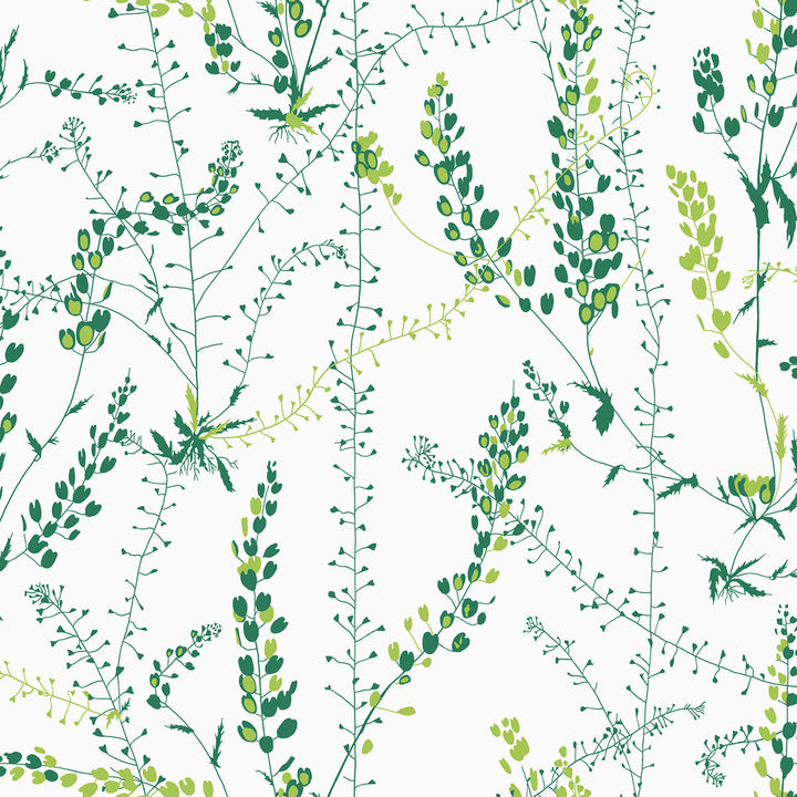 Bladranker Green Green Botanical Wallpaper by Wall Vision Scandinavian Designers II Covers about 57.8 square feet 21-in by 33-ft long roll Unpasted 20.9 - Fabric Carolina -