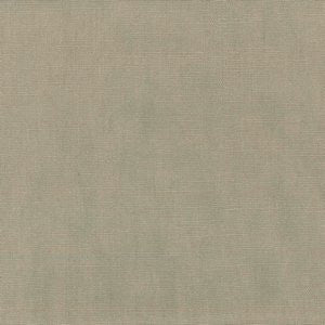 Wyatt Mushroom 212 by Norbar Fabric 55% LINEN 45% COTTON CHINA 54 - Fabric Carolina -