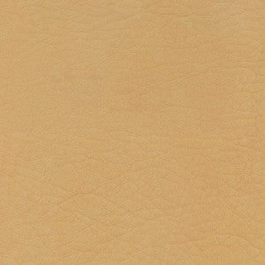 Whisper Camel by Spradling Fabric