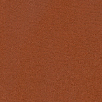 Whisper Cinnamon by Spradling Fabric See sample 100% Vinyl 100000 Horizontal: Not Applicable and Vertical: Not Applicable 54" - Fabric Carolina -
