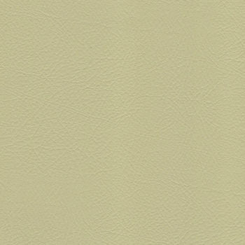 Whisper Cucumber 1009261 by Spradling Fabric See sample 100% Vinyl USA or Imported Water-based cleaning agents and foam may be used for cleaning. Cleaning by a professional cleaning service is recommended. 54 - Fabric Carolina -