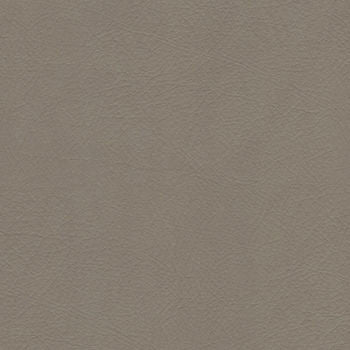 Whisper Fawn by Spradling Fabric See sample 100% Vinyl 100000 Horizontal: Not Applicable and Vertical: Not Applicable 54" - Fabric Carolina -