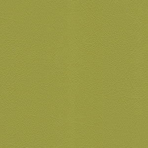 Whisper Sassafras by Spradling Fabric