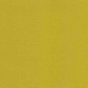 Whisper Zest by Spradling Fabric