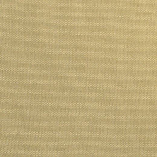 Whitehaven - Latte by Europatex Fabric Coastal 100% Polyester China See Sample Horizontal: N/A and Vertical: N/A 118.00 inches  - Fabric Carolina -
