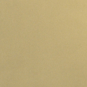 Whitehaven Latte by Europatex Fabric