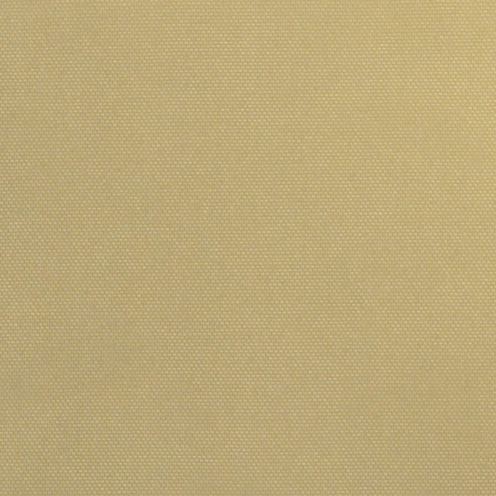 Coastal Whitehaven Latte by Europatex Fabric Coastal 100% Polyester 0.00" 118.00 inches - Fabric Carolina -