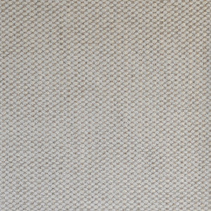 Xanadu (New) # 10 Ivory by Maxwell Fabric