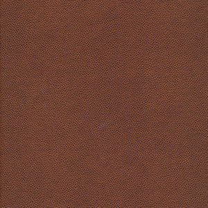 Yucatan-Nj # 795 Pinecone by Maxwell Fabric