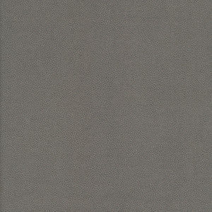 Yucatan-Nj # 806 Aluminum by Maxwell Fabric