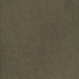 Yucatan-Nj # 810 Brush by Maxwell Fabric