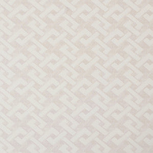 Trellis a Go White Wallpaper by York Wallcoverings