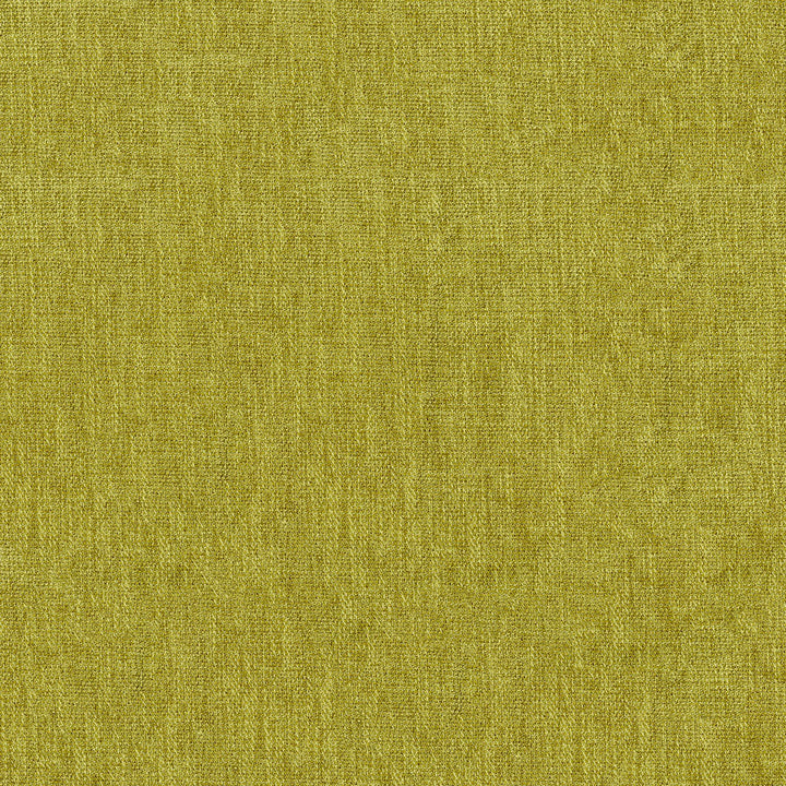 Watts 54 Lemongrass by ABBEYSHEA Fabric N/A 100% Polyester China 50,000 Double Rubs </p><p>Repeat: Horizontal: and Vertical: 55" (140 cm) - Fabric Carolina -