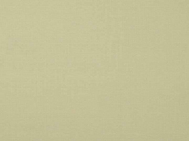 York Cream 141 by Covington Fabric 100% POLYESTER Taiwan 50000+ Horizontal: 0 and Vertical: 0 56 - Fabric Carolina -