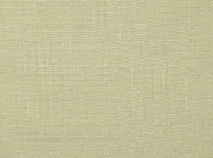 York 141 Cream by Covington Fabric 100% POLYESTER Taiwan 50000 Horizontal: 0 and Vertical: 0 56 - Fabric Carolina -