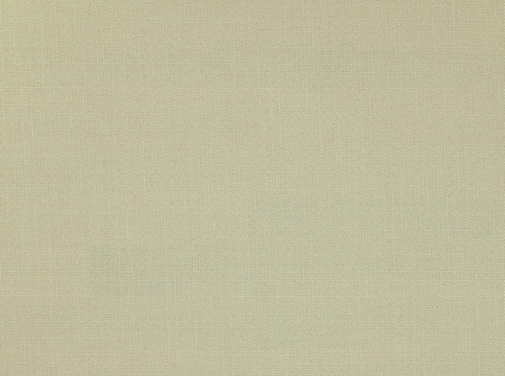 York 18 Oyster by Covington Fabric 100% POLYESTER Taiwan 50000 Horizontal: 0 and Vertical: 0 56 - Fabric Carolina -