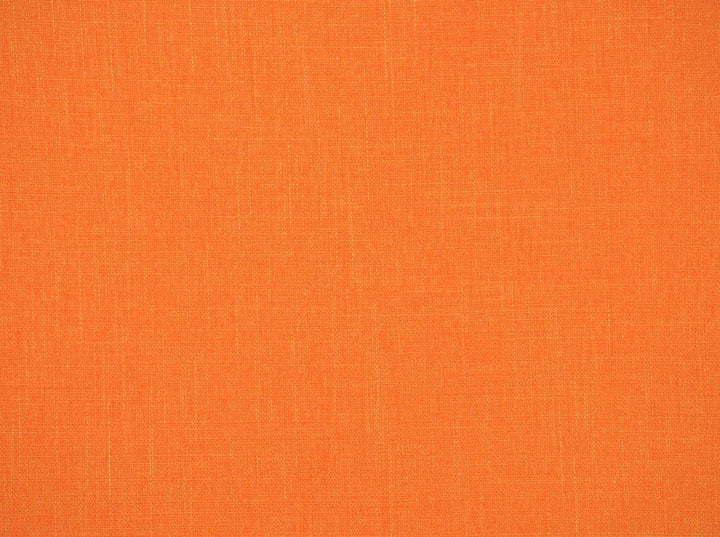 York Mimosa 887 by Covington Designer Fabric our website for purchase 100% Polyester Taiwan Roc 50000+ Horizontal: 0" and Vertical: 0" 57" - Swanky Fabrics -