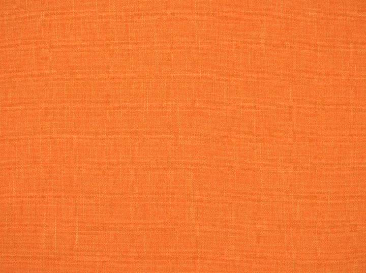 York Mimosa 887 by Covington Designer Fabric 100% POLYESTER TAI 50000 Horizontal: 0 and Vertical: 0 56 - Swanky Fabrics -