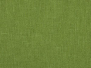 Yukon Apple Green 208 by Norbar Fabric YUKON 100% POLYESTER TAIWAN 56 - Fabric Carolina -