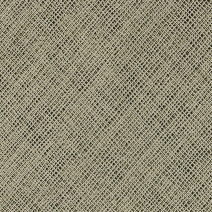 Zagnut 1 Storm by Stout Designer Fabric RAINBOW LIBRARY PEWTER/RAVEN 52%POL 26%LIN 22%COT CHINA FLAME RETARDANT-CA BULLETIN 117-SECTION E WYZENBEEK 15 000 DOUBLE RUB WEAR TEST (HEAVY DUTY) </p><p>Repeat: 10.5 54 in - Swanky Fabrics -