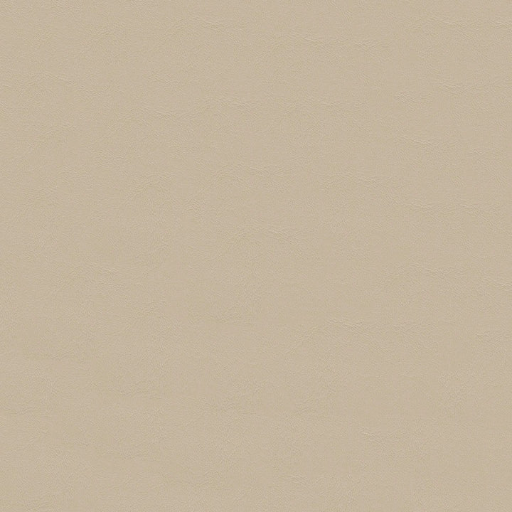 Zander ZAN 3108 Parchment by Softside Fabric 100% Polyvinyl Chloride (PVC) Costa Rica 100,000 Double Rubs (Wyzenbeek) </p><p>Repeat: Horizontal: and Vertical: 54" (137 cm) - Fabric Carolina -