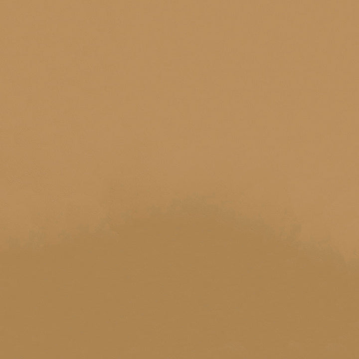 Zander ZAN 3109 Dune by Softside Fabric 100% Polyvinyl Chloride (PVC) Costa Rica 100,000 Double Rubs (Wyzenbeek) </p><p>Repeat: Horizontal: and Vertical: 54" (137 cm) - Fabric Carolina -