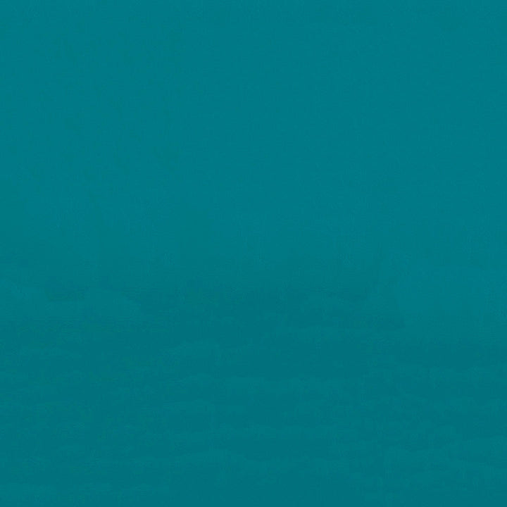 Zander ZAN 3121 Aqua Marine by Softside Fabric 100% Polyvinyl Chloride (PVC) Costa Rica 100,000 Double Rubs (Wyzenbeek) </p><p>Repeat: Horizontal: and Vertical: 54" (137 cm) - Fabric Carolina -