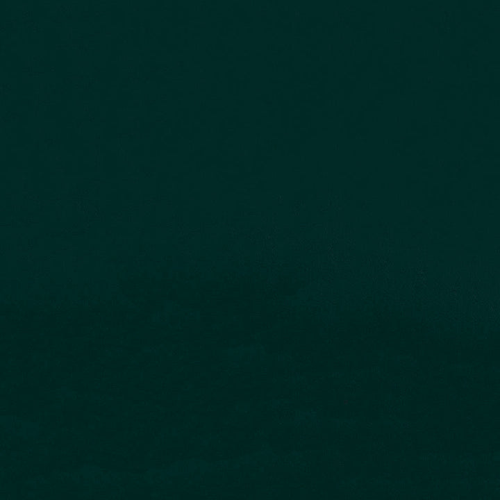 Zander ZAN 3125 Forest by Softside Fabric 100% Polyvinyl Chloride (PVC) Costa Rica 100,000 Double Rubs (Wyzenbeek) </p><p>Repeat: Horizontal: and Vertical: 54" (137 cm) - Fabric Carolina -