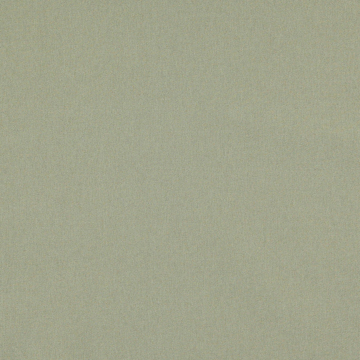 Zane 34J6891 by JF Fabric Winning Weaves IV 93% Polyester, 7% Cotton China 200000 Horizontal: and Vertical: 58 - Fabric Carolina -