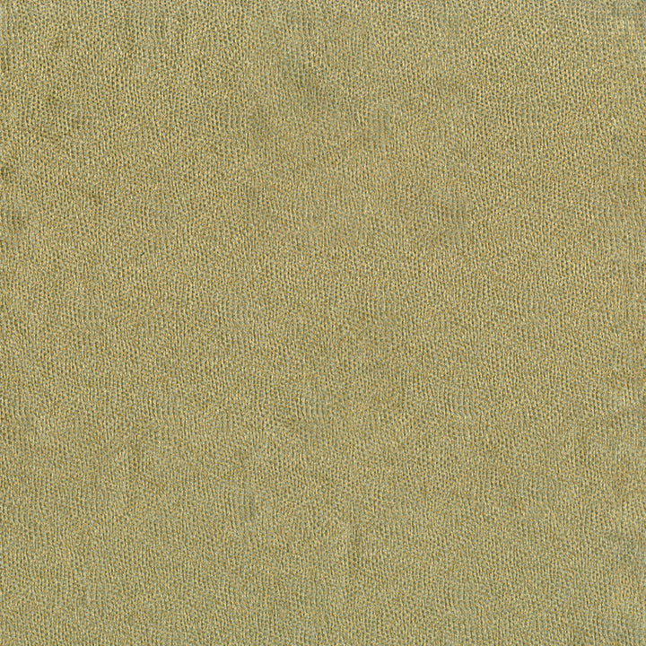 Taro 22 Lichen by ABBEYSHEA Fabric 100% Polyester CN 15,000 Double Rubs (Wyzenbeek) </p><p>Repeat: Horizontal: and Vertical: 57 in. (142 cm) - Fabric Carolina -