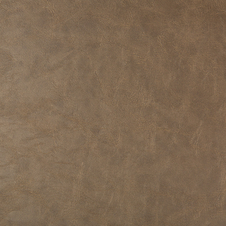 Zenyatta-106 by Kravet Design Fabric - POLYURETHANE - 65%;POLYESTER - 23%;COTTON - 12% China HEAVY Horizontal: 0 and Vertical: 0 54 - Fabric Carolina -