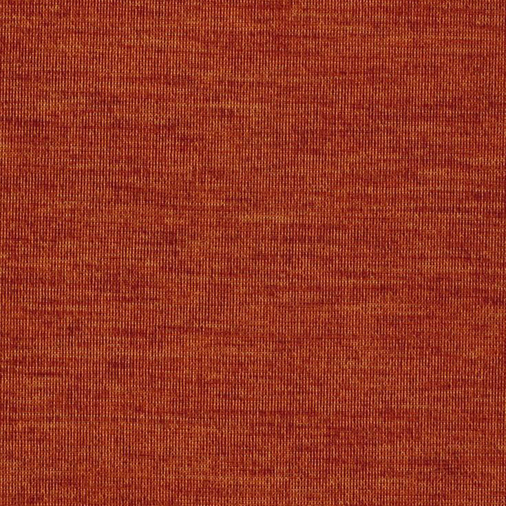 Zeus 24J5361 by JF Fabric WINNING WEAVES 64% Polyester, 31% Acrylic, 5% Viscose Turkey 30000 Horizontal: and Vertical: 55 - Fabric Carolina -