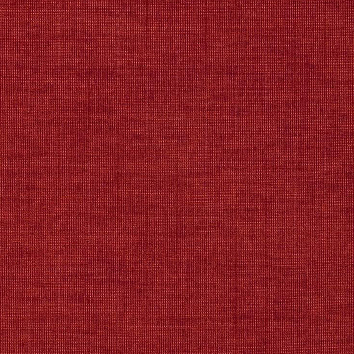 Zeus 26J5361 by JF Fabric WINNING WEAVES 64% Polyester, 31% Acrylic, 5% Viscose Turkey 30000 Horizontal: and Vertical: 55 - Fabric Carolina -