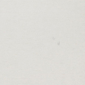 Zeus 92J5361 by JF Fabric