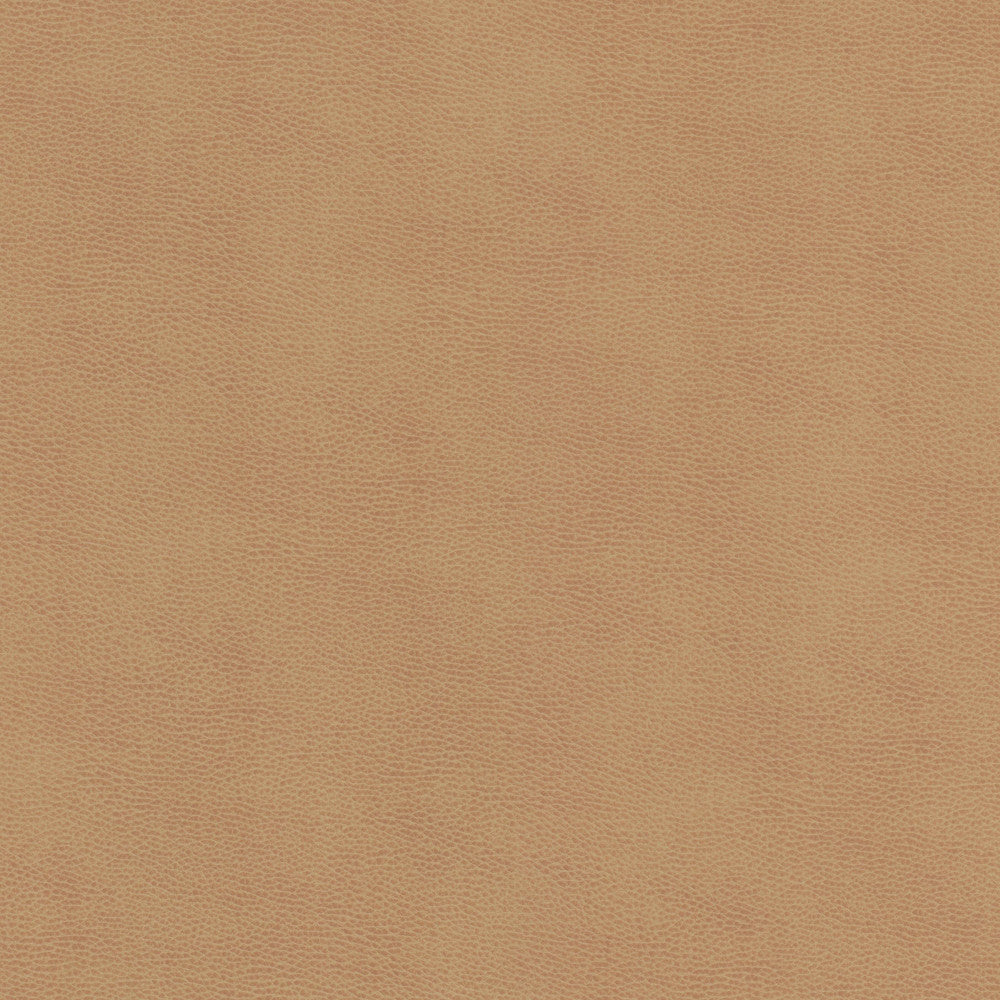 Ziemba 1 Lion by Stout Fabric Stout Fabric Ziemba 1 LionFabric Leather Looks V 100%Pou 1%Oth Korea </p><p>Repeat: H: 0, V: 0 54 in - Fabric Carolina -
