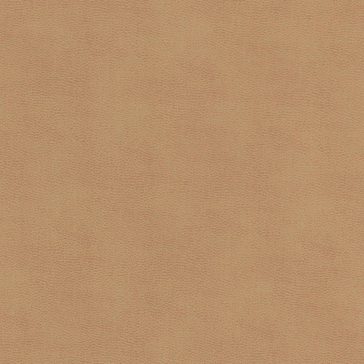 Ziemba 1 Lion by Stout Fabric Stout Fabric Ziemba 1 LionFabric Leather Looks V 100%Pou 1%Oth Korea </p><p>Repeat: H: 0, V: 0 54 in - Fabric Carolina -