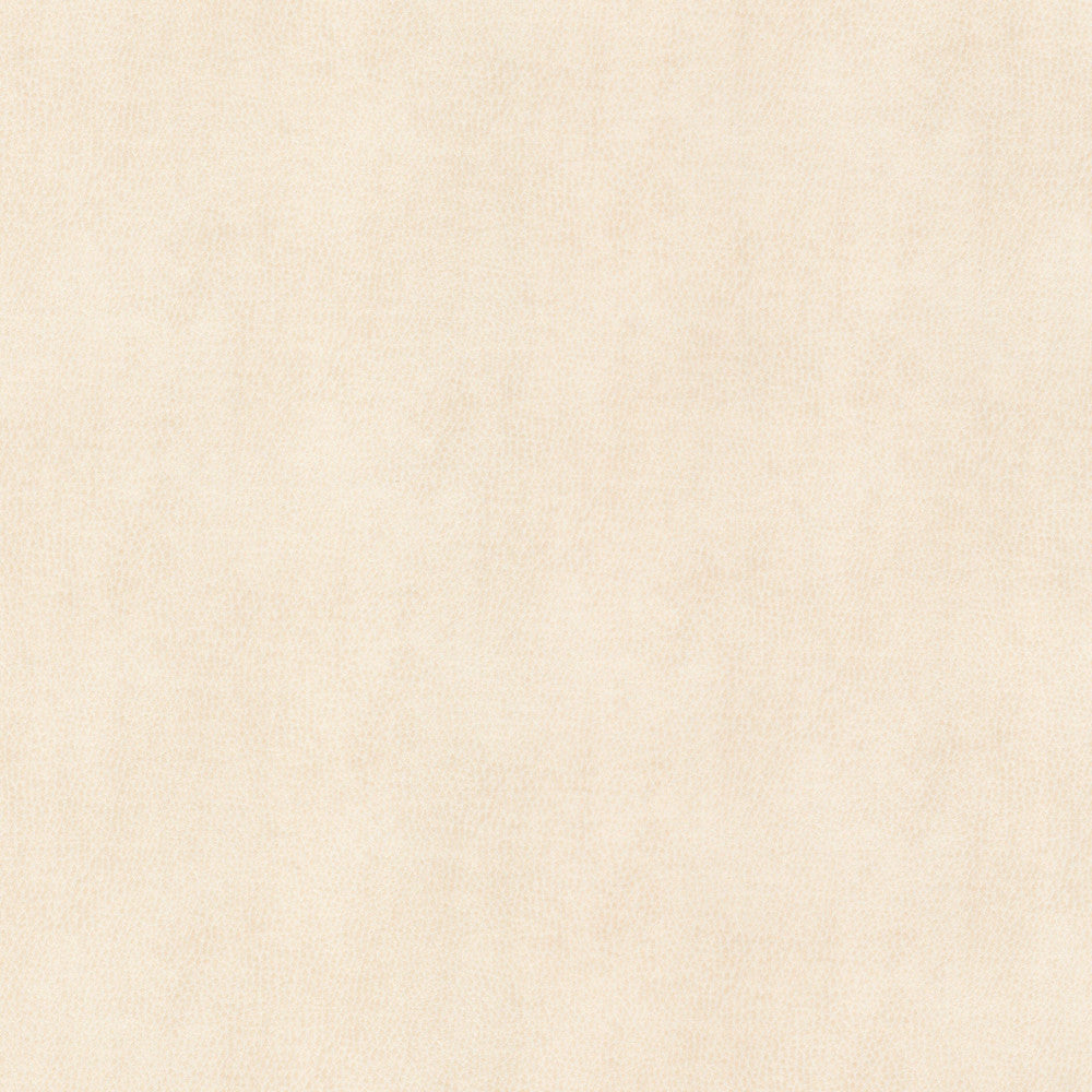 Ziemba 2 Oyster by Stout Fabric LEATHER LOOKS V 100%POU 1%OTH KOREA Horizontal: 0.000 and Vertical: 0.000 54 in - Fabric Carolina -