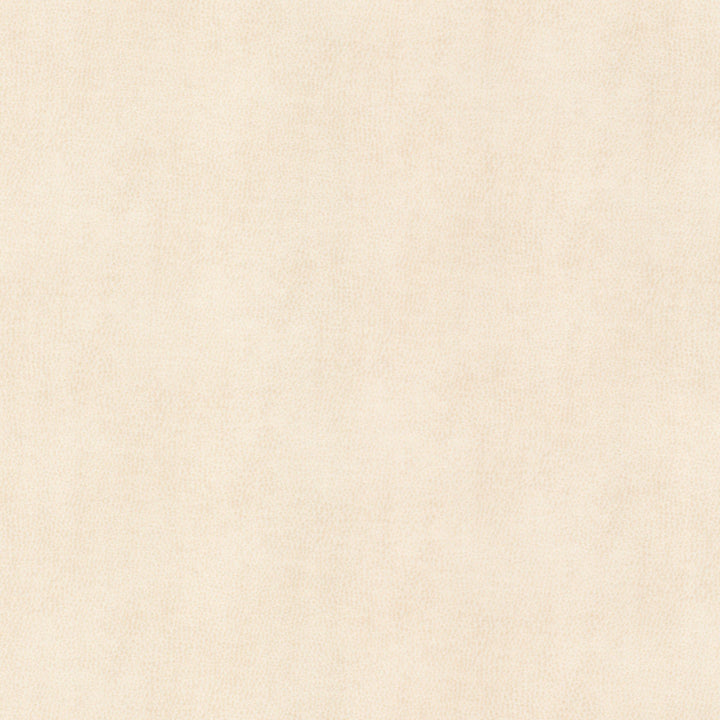 Ziemba 2 Oyster by Stout Fabric Stout Fabric Ziemba 2 OysterFabric LEATHER LOOKS V 100%POU 1%OTH KOREA </p><p>Repeat: H: 0.000, V: 0.000 54 in - Fabric Carolina -