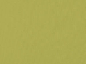 Zolic Acid Green 244 by Norbar Fabric