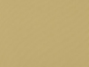 Zolic Ecru 112 by Norbar Fabric