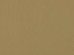 Zolic Sandstone 118 by Norbar Fabric HEAT WAVE 100% POLYPROPYLENE TURKEY 54 - Fabric Carolina -