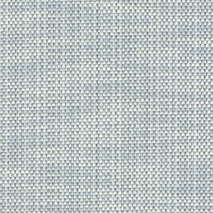 Zook Sky by Magnolia Fabric