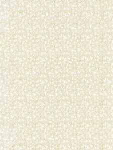 Scalamandre Fabric Hele Bay Ivory