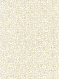 Scalamandre Fabric Hele Bay Ivory