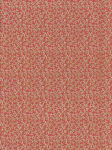 Scalamandre Fabric Hele Bay Coral